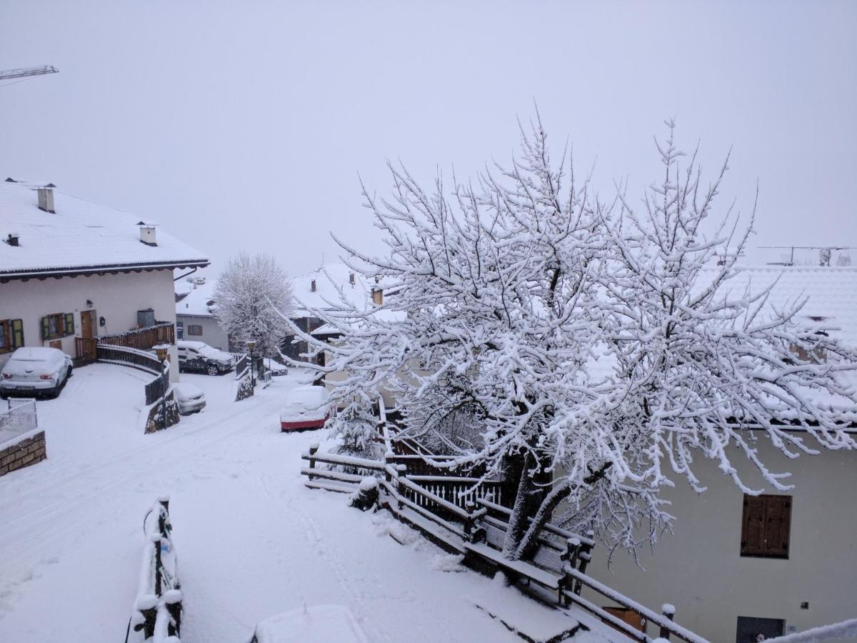 Appartamento Regina del Bosco della vicina Cavalese Daiano Esterno foto
